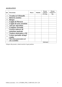 Allegato D-B1.C