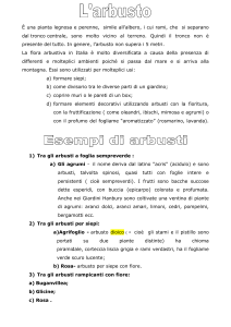 Con il termine arbusto s`intende, quindi, una pianta