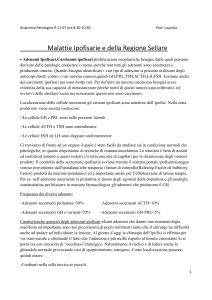 Anatomia Patologica 9-11-07 ore 8,30-10,30 Prof - Digilander