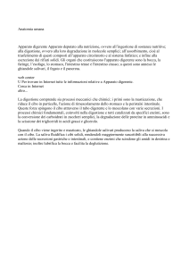 Anatomia umana - IHMC Public Cmaps