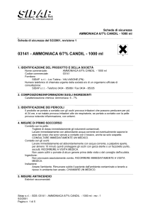 Safety Data Sheet (P1, IT, ITA, 1.0)