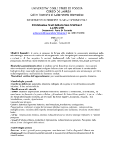I miceti:struttura cellulare, modalità di riproduzione e classificazione