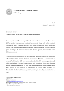 Università degli Studi di Verona