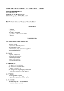 LICEO SCIENTIFICO STATALE “R.CACCIOPPOLI”
