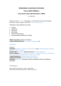 PROGRAMMA DI ANATOMIA PATOLOGICA