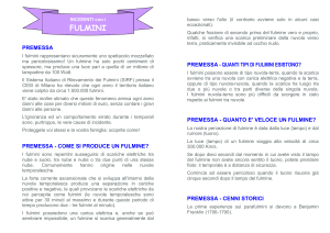 INCIDENTI con i FULMINI PREMESSA I fulmini rappresentano
