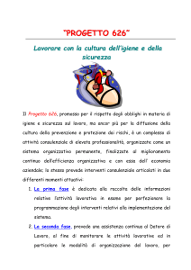 Progetto 626 sicurezza sul lavoro