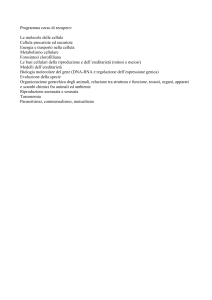 Programma corso di recupero