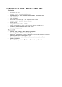 macroargomenti fisica - LS Carlo Cattaneo Torino