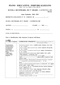 PEI Scuola Media: Piano Educativo Individualizzato