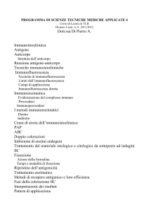 Immunoistochimica
