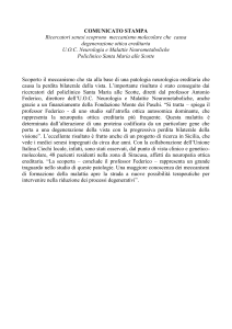 scoperto meccanismo alla base di una neuropatia ereditaria che