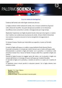 Ecco le molecole biologiche