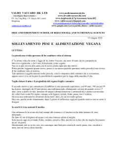 valdo vaccaro hk ltd