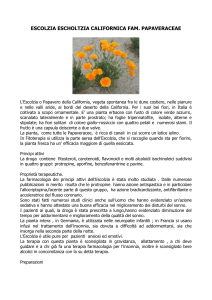 escoltzia - di Carolina Bosco