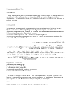 Domande esame Biotec