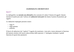 RADIOGRAFIA MICROFUOCO