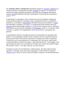 concetto di consumo critico