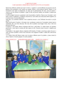 l`orto in classe - Primo Circolo Eboli