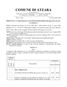 Ordinanza per la tutela dellincolumità pubblica