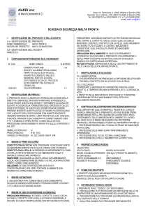 1.1 – identificazione del preparato