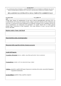 Relazione illustrativa Allegato C