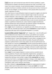 pesci e anfibi