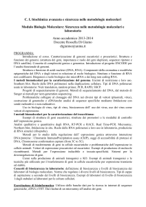 Di Giaimo - Sicurezz.. - Corsi di laurea