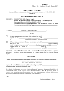 attestazione bancaria sulla sostenibilita` finanziaria