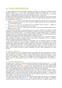 Vegetazione mediterranea - Digilander