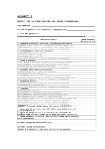 Fac-Simile Piano Finanziario (formato doc)