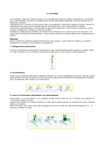 Le cervicalgie