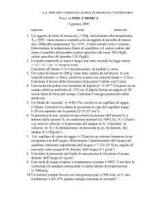 FM08_01_09_giallo