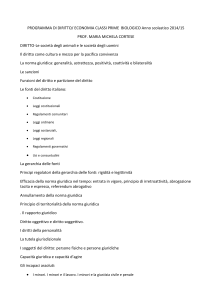 PROGRAMMA DI DIRITTO/ ECONOMIA CLASSI PRIME