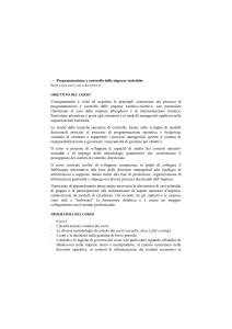 Programmazione e controllo delle imprese turistiche