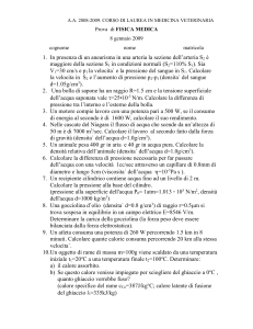 FM08_01_09_bianco - INFN