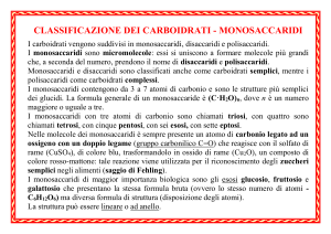 classificazione dei carboidrati