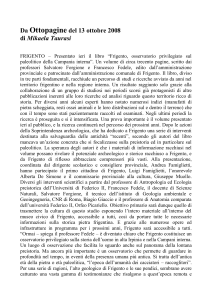 Da Ottopagine del 13 ottobre 2008 di Mikaela Taurasi FRIGENTO