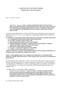il responsabile della poszione organizzativa n.2