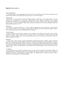 Bagolaro - Agricoltura