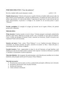 PERCORSO DIDATTICO “Una vita da formica”