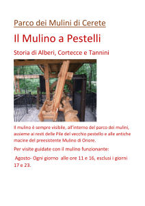 Parco dei Mulini di Cerete Il Mulino a Pestelli Storia di Alberi, C