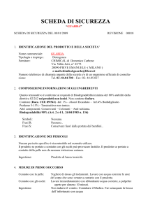 scheda di sicurezza - Colorificio Bresciano