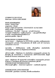 curriculum vitae