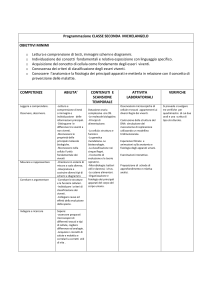 programmazione michelangelo