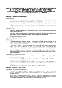 Spett - Gruppo Alis