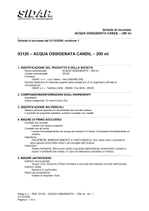 Safety Data Sheet (P1, IT, ITA, 1.0)