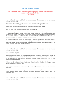 Parola di vita
