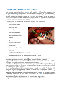 Colecistectomia - Asportazione della Cistifellea