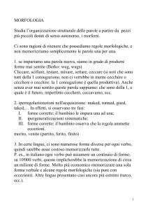 Morfologia
